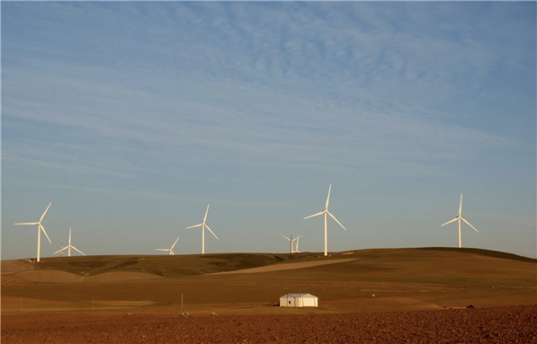 Wind turbines produce renewable energy outside Caledon, South Africa, May 20, 2020. REUTERS/Mike Hutchings